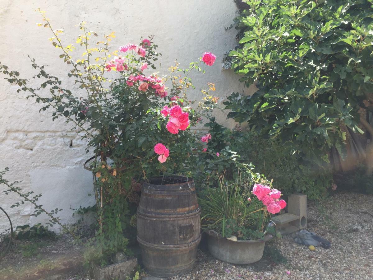 Aux Caprices Des Dieux Marnes Exterior photo